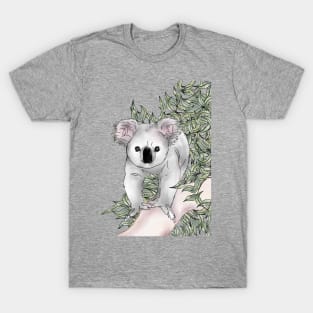 Curious Koala T-Shirt